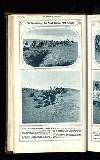 Illustrated War News Wednesday 07 November 1917 Page 14