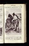 Illustrated War News Wednesday 07 November 1917 Page 21