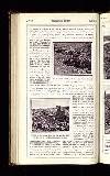 Illustrated War News Wednesday 21 November 1917 Page 32