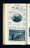 Illustrated War News Wednesday 21 November 1917 Page 38