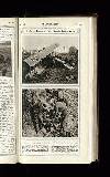 Illustrated War News Wednesday 05 December 1917 Page 33