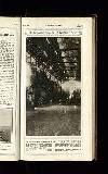 Illustrated War News Wednesday 19 December 1917 Page 19