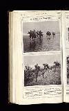 Illustrated War News Wednesday 26 December 1917 Page 22