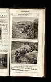 Illustrated War News Wednesday 16 January 1918 Page 31