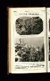 Illustrated War News Wednesday 23 January 1918 Page 10