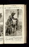 Illustrated War News Wednesday 30 January 1918 Page 23