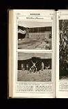 Illustrated War News Wednesday 20 February 1918 Page 36