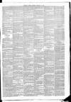Leinster Leader Saturday 16 February 1884 Page 3