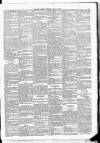 Leinster Leader Saturday 12 April 1884 Page 3