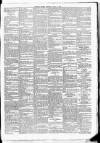 Leinster Leader Saturday 12 April 1884 Page 7