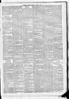 Leinster Leader Saturday 26 April 1884 Page 3