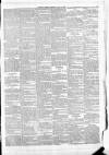 Leinster Leader Saturday 10 May 1884 Page 3