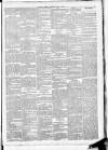Leinster Leader Saturday 17 May 1884 Page 3