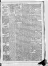 Leinster Leader Saturday 07 June 1884 Page 5