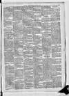 Leinster Leader Saturday 14 June 1884 Page 3