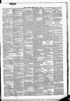 Leinster Leader Saturday 21 June 1884 Page 3