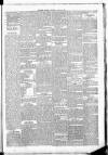 Leinster Leader Saturday 21 June 1884 Page 5