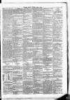 Leinster Leader Saturday 28 June 1884 Page 3