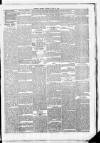 Leinster Leader Saturday 28 June 1884 Page 5