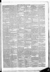 Leinster Leader Saturday 19 July 1884 Page 3