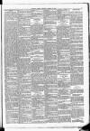 Leinster Leader Saturday 16 August 1884 Page 3