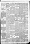 Leinster Leader Saturday 23 August 1884 Page 5