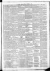 Leinster Leader Saturday 01 November 1884 Page 3
