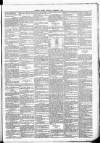 Leinster Leader Saturday 01 November 1884 Page 7