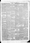 Leinster Leader Saturday 15 November 1884 Page 5