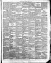 Leinster Leader Saturday 11 April 1885 Page 3