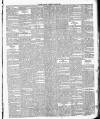 Leinster Leader Saturday 10 April 1886 Page 3