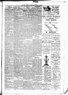 Leinster Leader Saturday 24 December 1887 Page 7