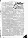 Leinster Leader Saturday 03 January 1891 Page 3