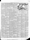 Leinster Leader Saturday 10 January 1891 Page 3