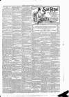 Leinster Leader Saturday 17 January 1891 Page 3
