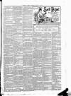 Leinster Leader Saturday 31 January 1891 Page 3