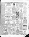 Leinster Leader Saturday 21 March 1891 Page 7
