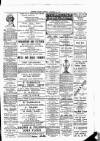 Leinster Leader Saturday 26 December 1891 Page 3