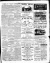 Leinster Leader Saturday 21 April 1894 Page 3