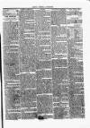 Ballyshannon Herald Friday 07 June 1850 Page 3