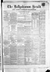 Ballyshannon Herald Saturday 07 July 1866 Page 1