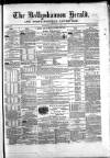 Ballyshannon Herald Saturday 01 June 1867 Page 1