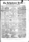 Ballyshannon Herald Saturday 08 May 1869 Page 1