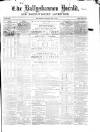 Ballyshannon Herald Saturday 24 July 1869 Page 1