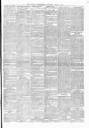 Donegal Independent Saturday 13 April 1889 Page 3