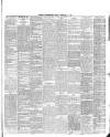 Donegal Independent Friday 05 February 1897 Page 3
