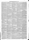 Kildare Observer and Eastern Counties Advertiser Saturday 09 April 1881 Page 3