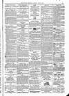 Kildare Observer and Eastern Counties Advertiser Saturday 16 April 1881 Page 7