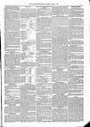 Kildare Observer and Eastern Counties Advertiser Saturday 04 June 1881 Page 3