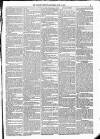 Kildare Observer and Eastern Counties Advertiser Saturday 11 June 1881 Page 3